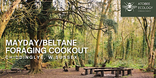 Primaire afbeelding van Mayday (Beltane) Foraging Cookout