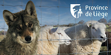 Protéger nos troupeaux - Quelles adaptations face au retour du loup? primary image