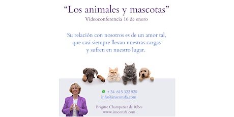 Image principale de Los animales y las mascotas