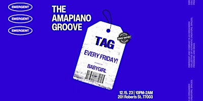 The Amapiano Groove  primärbild