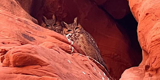 Primaire afbeelding van Antelope Canyon Tours