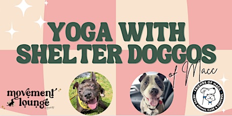 Imagen principal de Yoga with the Shelter Doggos of MACC at Movement Lounge