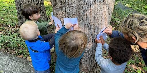 Primaire afbeelding van Creativi-Tree (All Ages)