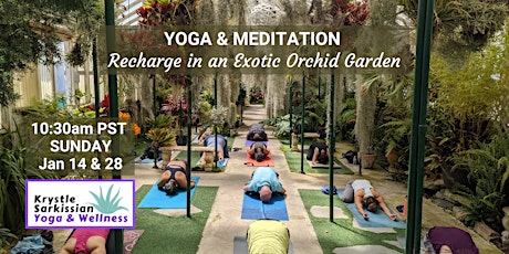 Imagem principal do evento Yoga Recharge in an Exotic Orchid Garden (1/28)