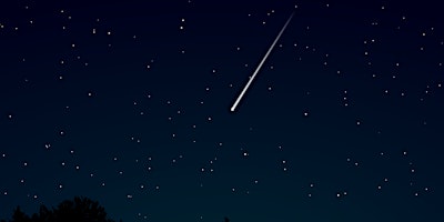 Primaire afbeelding van Meteors on the Meadow: Geminids