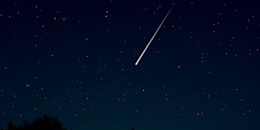 Meteors on the Meadow: Leonids primary image