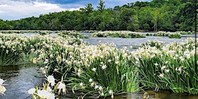 Imagen principal de Spider Lily Kayak Tour