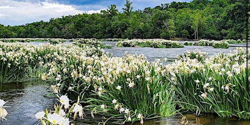 Imagem principal do evento Spider Lily Kayak Tour