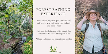 Primaire afbeelding van Mother's Day Forest Bathing experience - Brisbane