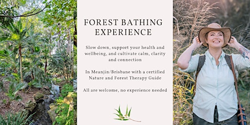 Image principale de Mother's Day Forest Bathing experience - Brisbane