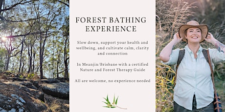 Winter Solstice forest bathing taster - Toohey Forest