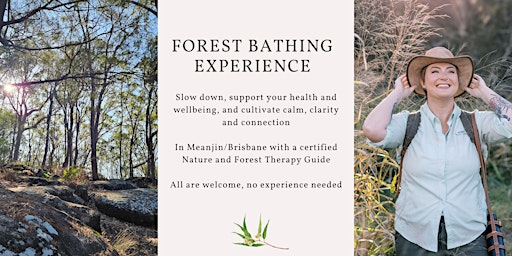 Winter Solstice forest bathing taster - Toohey Forest primary image