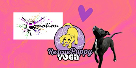 Imagen principal de Rescue Puppy Yoga - Emotion Fitness