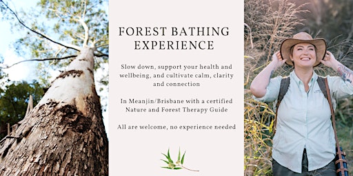 Forest Bathing experience - Sherwood Arboretum primary image