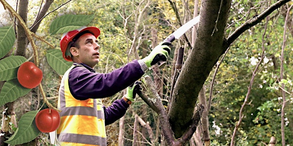 Save Kenworthy Woods Orchard - A Summer Pruning workshop with Mark Simmonds...