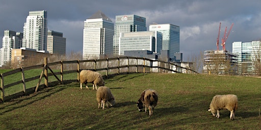 A Rubbish Trip: Isle of Dogs and Greenwich guided walk, 14th September 2024 primary image