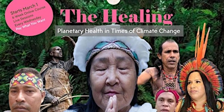 Imagen principal de THE HEALING: Planetary Health in Times of Climate Change