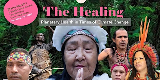 Primaire afbeelding van THE HEALING: Planetary Health in Times of Climate Change