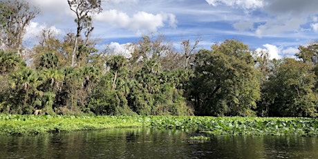 Imagem principal de January Eco Paddle - Wekiva River