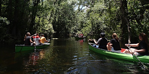 May Eco Paddle - Wekiva River primary image