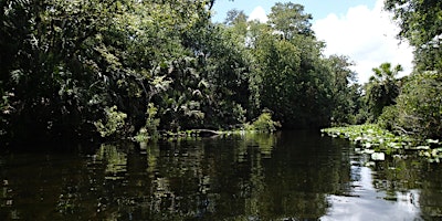 Immagine principale di September Eco Paddle - Wekiva River 