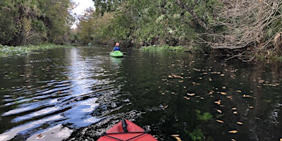 Immagine principale di November Eco Paddle - Wekiva River 