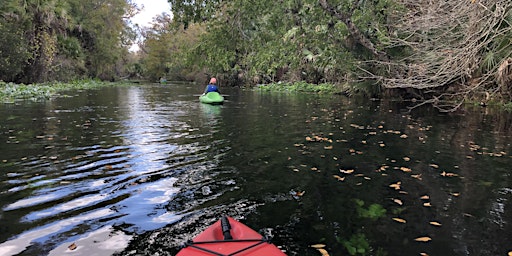 Immagine principale di November Eco Paddle - Wekiva River 