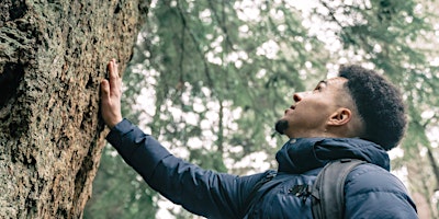 Immagine principale di Tree Wisdom Forest Bathing - Windsor Great Park, Sunday 7 July 