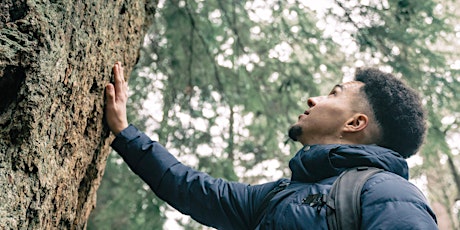 Tree Wisdom Forest Bathing - Windsor Great Park, Sunday 7 July