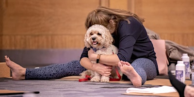 Imagem principal do evento ‘Downward Dog’ Quarterly Yoga Event at Conrad Dublin