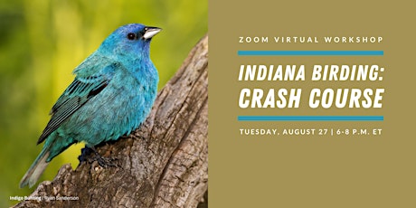 Indiana Birding: Crash Course