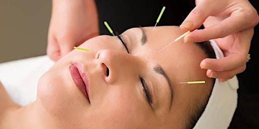 Integrative Acupuncture for the Modern Medical Practitioner primary image