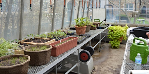 Hauptbild für Container Gardening