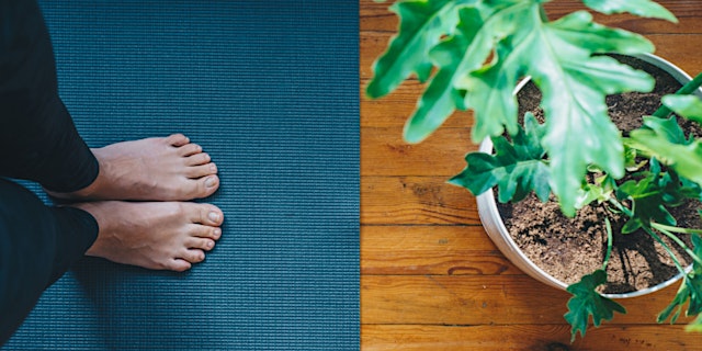 Image principale de Mindful Yoga (11/2–11/16)