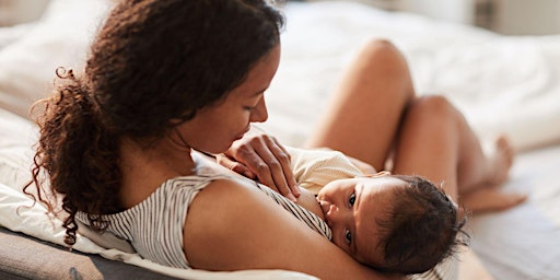 Imagem principal do evento Introduction to Breastfeeding: In Person