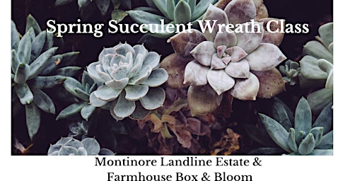 Imagen principal de Spring Succulent Wreath Class