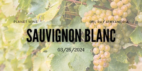 WINE CLASS - Sauvignon Blanc primary image