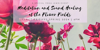 Imagem principal do evento Meditation and Sound Healing at the Flower Fields