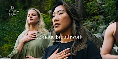 Immagine principale di Somatic Breathwork for Nervous System and Emotional Regulation 