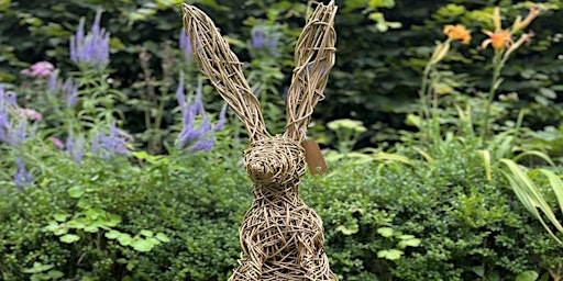 Primaire afbeelding van Willow hare workshop