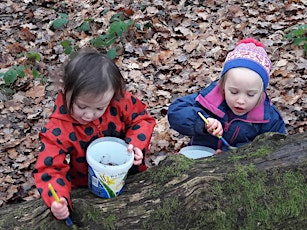 Nature Tots in the Forest of Dean