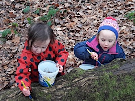 Imagem principal do evento Nature Tots in the Forest of Dean
