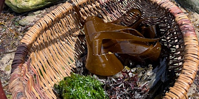Wild Food Forage and Feast - Summer Seaweed primary image