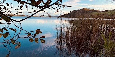 Slapton Ley Guided Walk