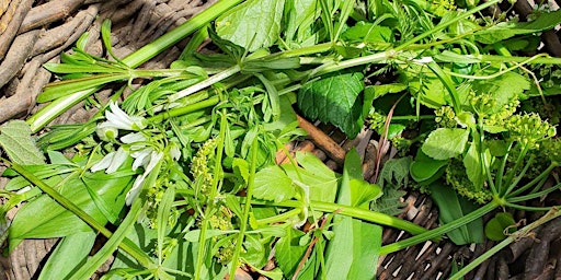 Primaire afbeelding van Wild Food Forage