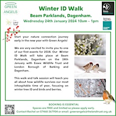 Primaire afbeelding van Winter ID Walk at Beam Parklands Country Park