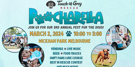 Imagen principal de Poocharella 2024 -3rd Annual Fest Fur the Dogs-