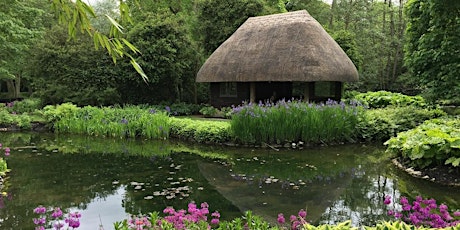 Longstock Park Water Garden Open Day