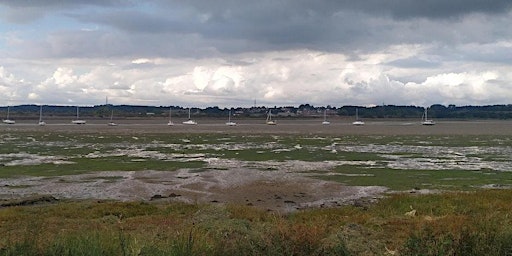 Immagine principale di Essex Estuaries - The Stour from Manningtree to Mistley 