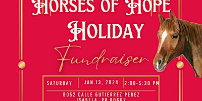 Primaire afbeelding van Horses of Hope Holiday Fundraiser - POSTPONED...stay tuned for details